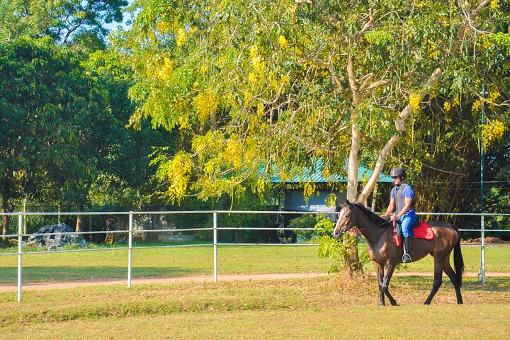 Horse Riding for Professionals from Sigiriya - Photo 1 of 6